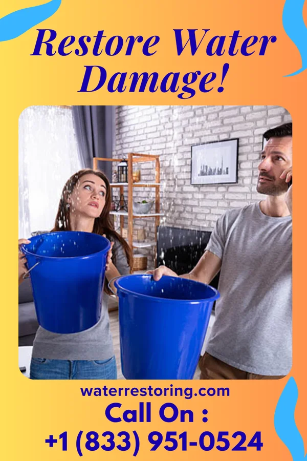 water restoration Western Disaster Recovery Professionals Hitterdal